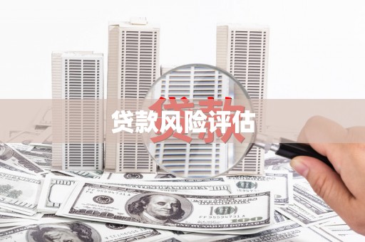 西藏贷款风险评估