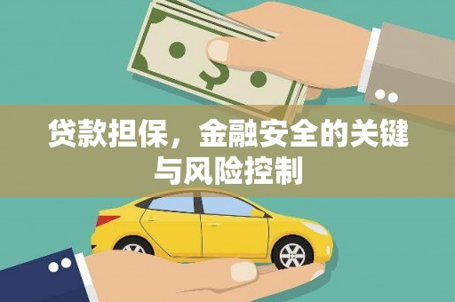 西藏贷款担保，金融安全的关键与风险控制