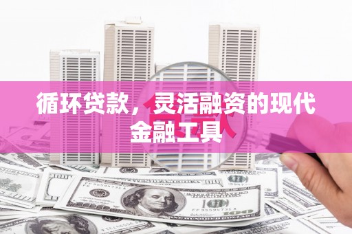 西藏循环贷款，灵活融资的现代金融工具